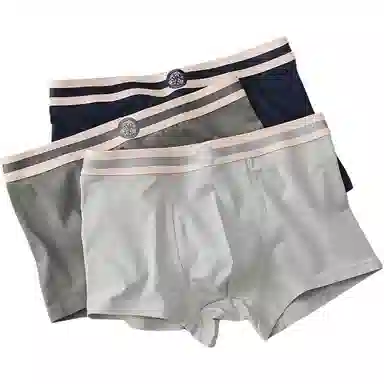 贴身领域 纯棉抗菌透气平角内裤 男款