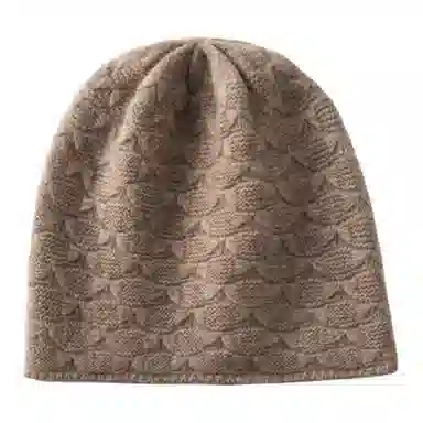 PIERRE CARDIN
