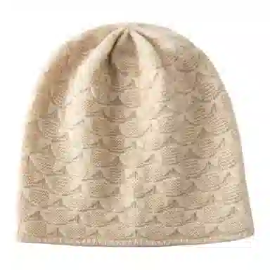 PIERRE CARDIN