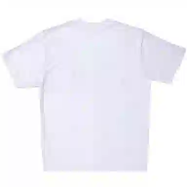 SANTASTIC T