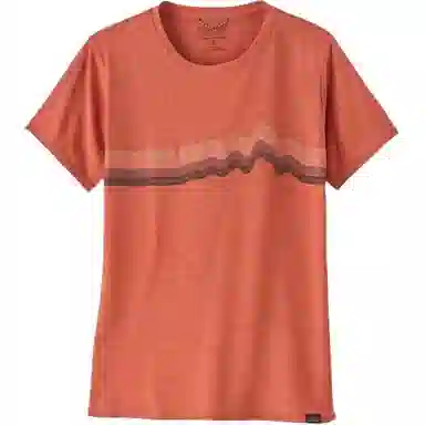 patagonia T
