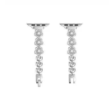 FZRT Huawei Fit Strap Metal Chain