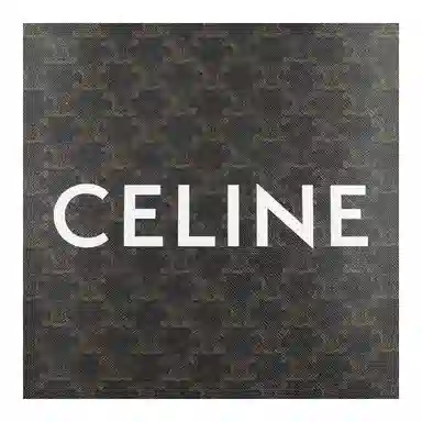 CELINE Cabas Triomphe Tote Small Brown