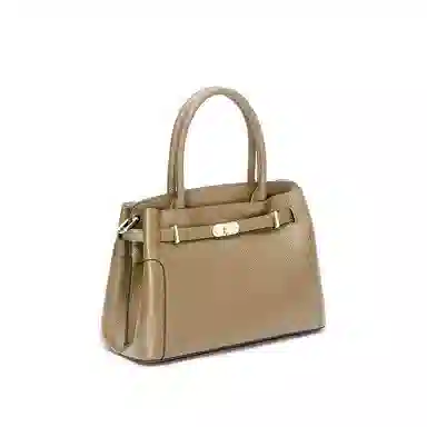 红蜻蜓 气质婚包高级感百搭 牛皮 单肩斜挎手提包 中号 女款 多色