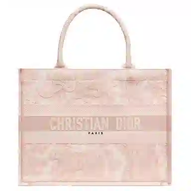 Dior Book Tote