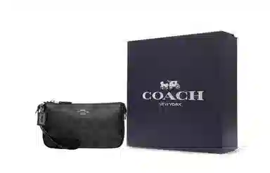 COACH Nolita 19
