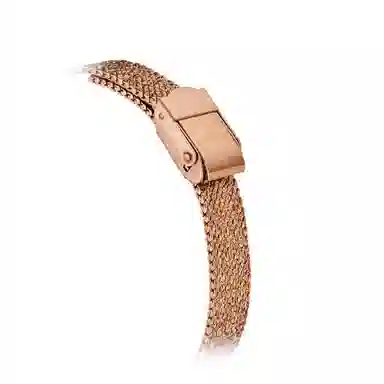 Sea-Gull 520.17.E1004LB