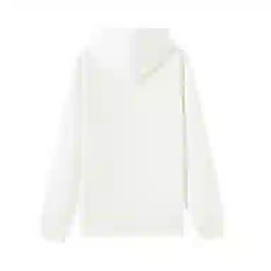 U.S. POLO ASSN. Hoodie Basic Logo