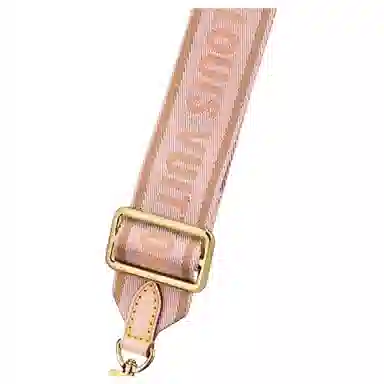 Louis Vuitton Multi Pochette Accessoires