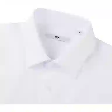 HLA DP