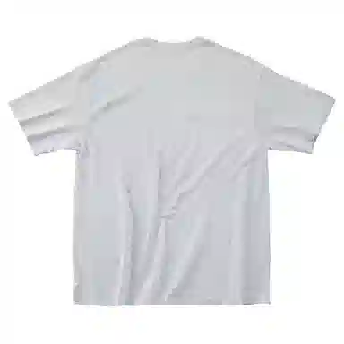 SANTASTIC T