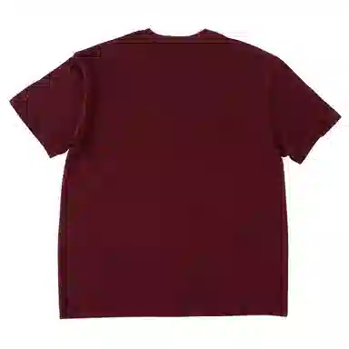 SANTASTIC T