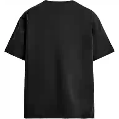 ZARA T