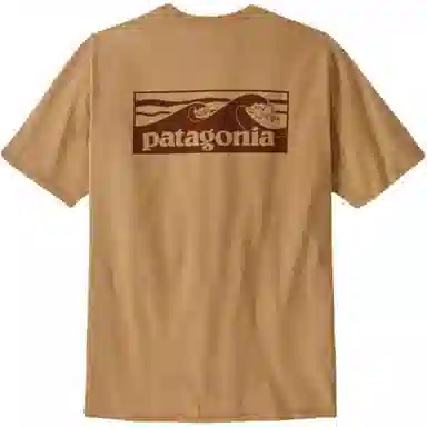 patagonia T