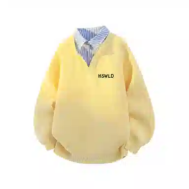 HSWLD polo