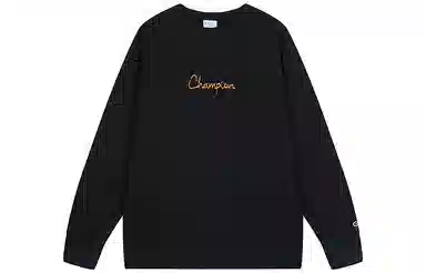 Champion FW25 BASIC