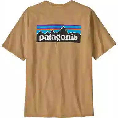 patagonia P-6Logo Responsibili LogoT
