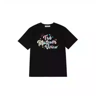 THE MUSEUM VISITOR T