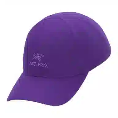 Arcteryx Bird Word Cap