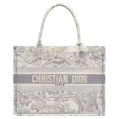 DIOR BookTote Tote