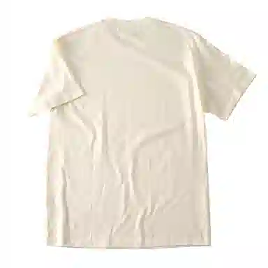 SANTASTIC T