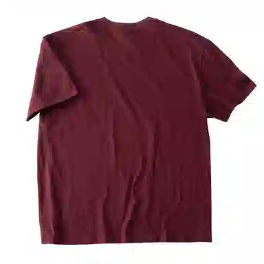 SANTASTIC T