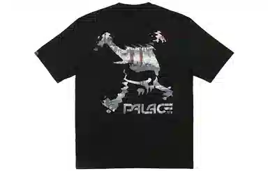 PALACE x Oakley SS23 LogoT