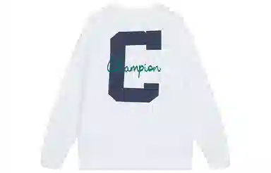 Champion FW25 BASIC