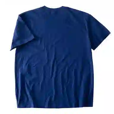 SANTASTIC T