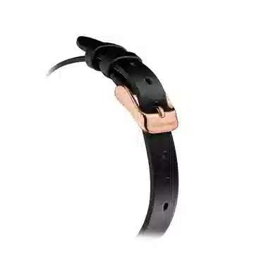 Sea-Gull 520.17.E1004LB