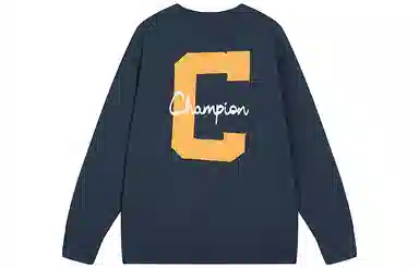 Champion FW25 BASIC