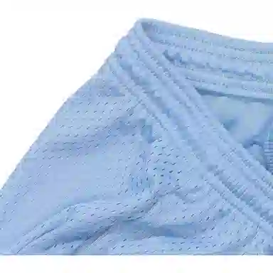 Champion Mesh Shorts Light Blue