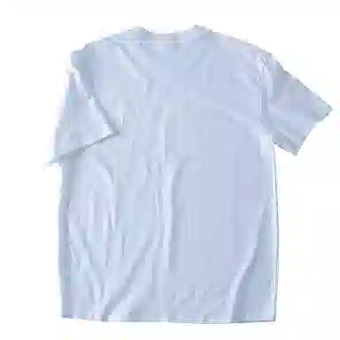 SANTASTIC T