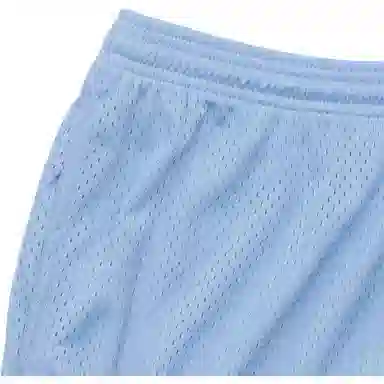 Champion Mesh Shorts Light Blue