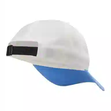 Arcteryx Bird Word Cap
