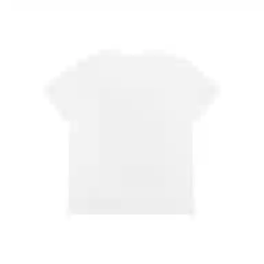 THE MUSEUM VISITOR T