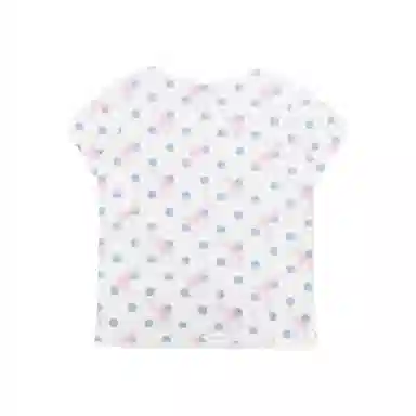 THE MUSEUM VISITOR T