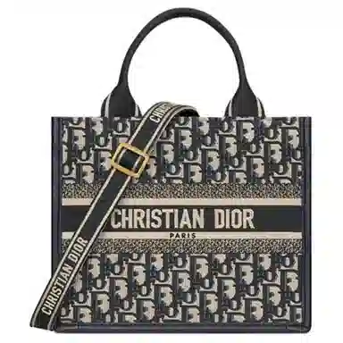 Dior Book Tote Blue