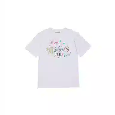 THE MUSEUM VISITOR T