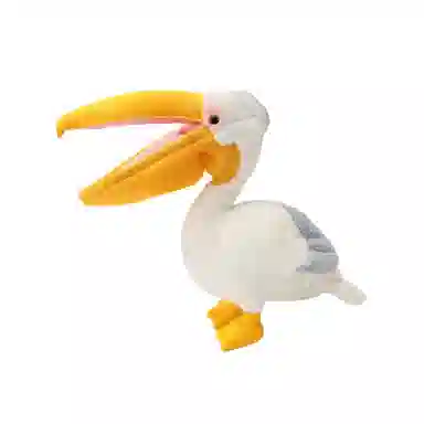 30cm