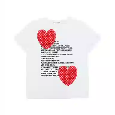 THE MUSEUM VISITOR T