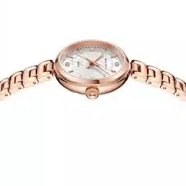 Sea-Gull 511.17.E1003LA