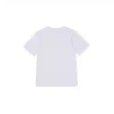 THE MUSEUM VISITOR T