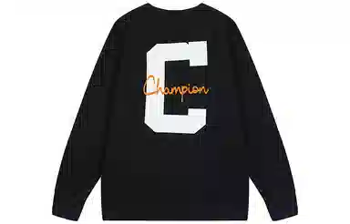 Champion FW25 BASIC
