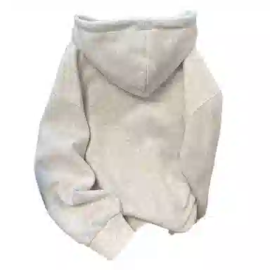 INS