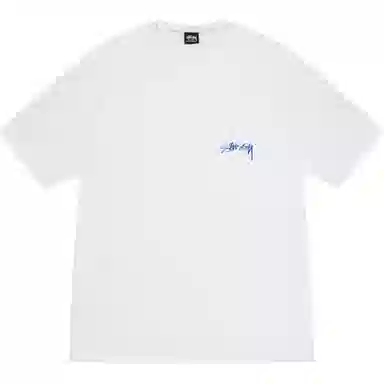 Stussy FW25 Body Scan Tee