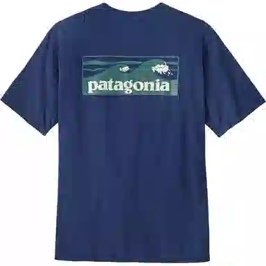 patagonia T