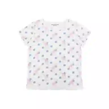 THE MUSEUM VISITOR T