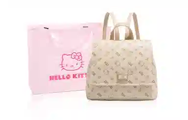 Sanrio PU