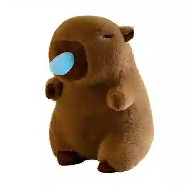 26cm